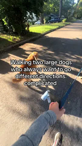 Don’t make walking the dog more complicated than it needs to be. 