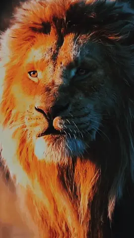 #موال انزل يامطر #مواويل_عراقية_حزينه💔 