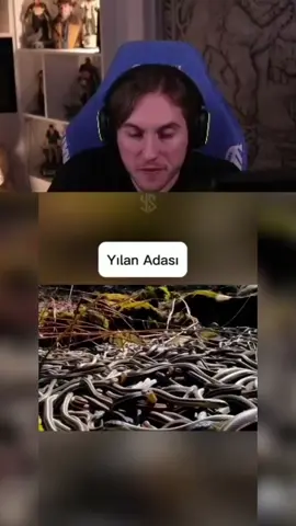 Rraenee | Gidemezsin ki Zaten #rraeneeizliyor #rraenee #kick #rraene #limontayfa 