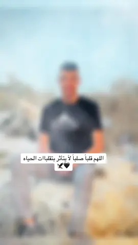 #الشهيد_خطاب_بدويه💔 #الشهيد_نور_السعدي #جنين #عمر_الزعيم 