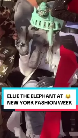Ellie Wintour is at New York Fashion Week 🤩 #newyork #nyfw #offwhite #ellie #liberty 