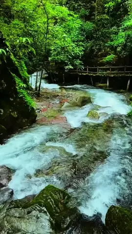 “不给别人带来烦恼，是一种慈悲，不给自己带来烦恼，是一种智慧。不在别人心中修行自己，也不在自己心中强求别人。人生本过客，何必千千结。”