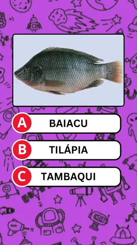 Qual é o Peixe? #quiz #pergunta 