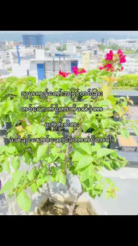 တချို့အရာတွေကမသိခဲ့တာဘဲကောင်းပါတယ်။#viralvideo #foryou #tiktokuni #viraltiktok 