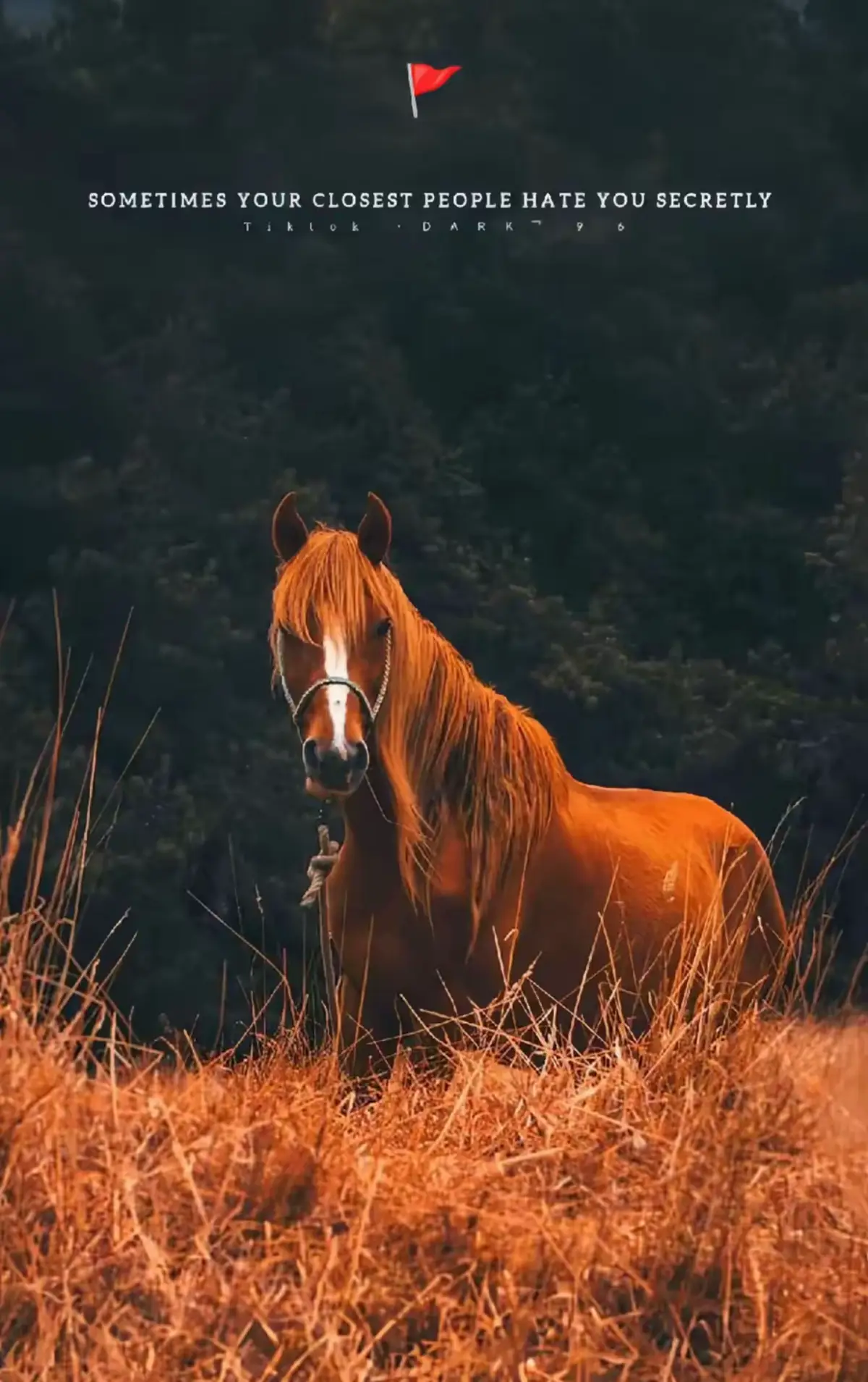 #donpablostatus #reality #tiktokstudio #viralpost #fyp 