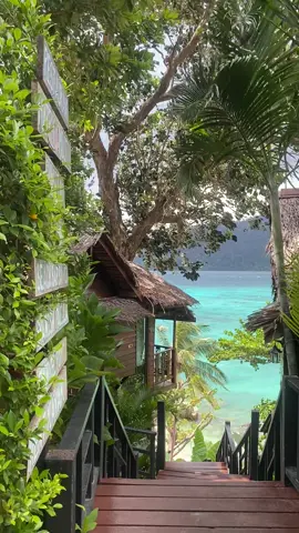 สวยแบบไม่มีอยู่จริง 🏝️🌊🌺🪸 #หลีเป๊ะ #bayviewsunsetresort #kohlipe 