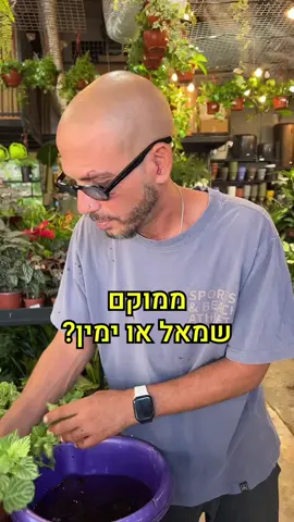 קו ישר- לא שמאל לא ימין 🇮🇱 