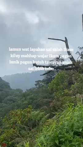 #gitartunggallampung #remiklampung #viralvideo #lampungtiktok #lampungviral