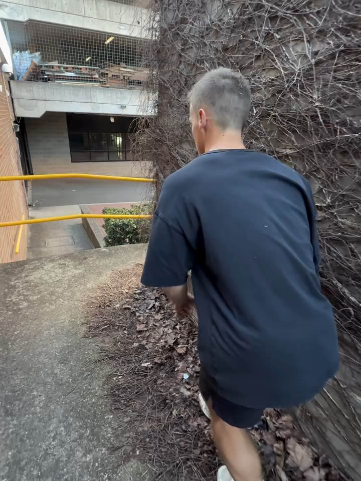 Another day collecting clips for #imagine.thetaa ! My body is feeling strong and ready to tackle Europe again! 🤟🏼  Thankyou so much #aaronschroderpk and #daniel.oishi for filming! 🫶🏼  Wearing #factorie #storrorsportdesign and #ollopk   #parkour #innerwest #strathfield #australia #weekend #movement #Fitness #sydney