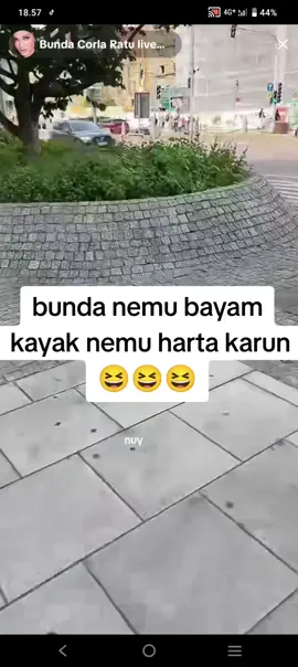 #bundacorlaofficialss 