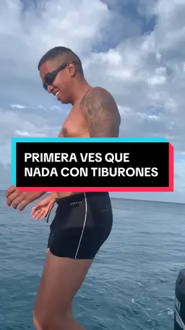 MI PRIMER DÍA NADANDO CON TIBURONES 