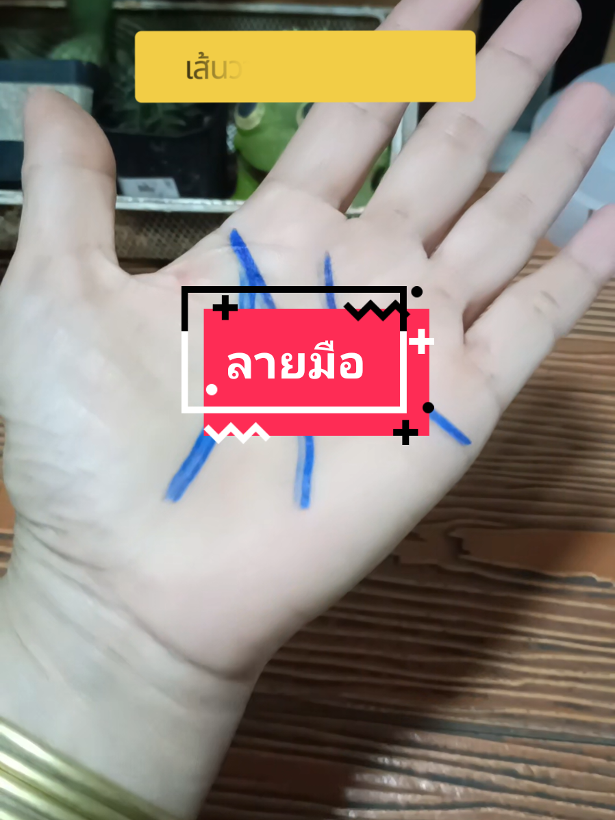 #ลายมือ #ดูลายมือ #สักลายมือ #สักลายมือเศรษฐี #จี้ไฝ @มาลี  สายมู @มาลี  สายมู @มาลี  สายมู 