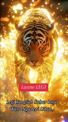 Latine Legi#weton jawa#legi #xzybcafypシ #fypシ 