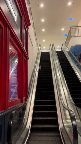 Caught a Cat riding the escalator 🤣 #catsoftiktok #cats #catsofbgc #PetsOfTikTok #pet 