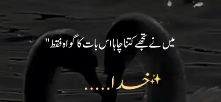 Faqat:'........خدا ✨🖤