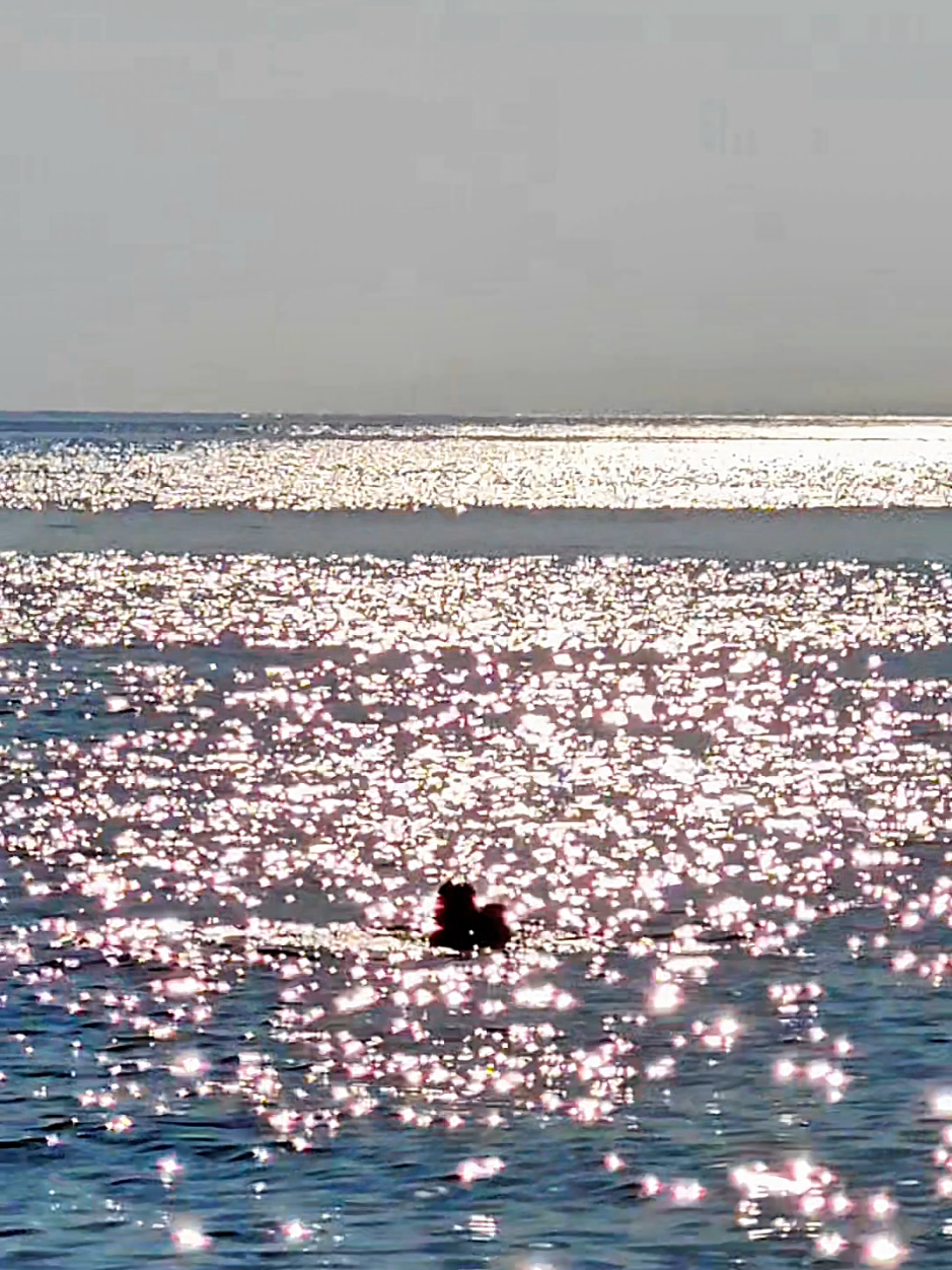 La Sardegna è orgogliosa di te @eroCaddeo ❤️‍🔥🔝  #xfactor #erocaddeo #inedito #punto #italy 