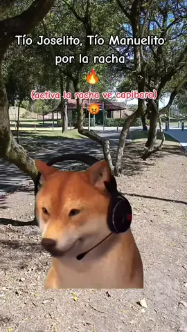 #Meme #MemeCut #CapCut #creatorsearchinsight #LIVEIncentiveProgram 