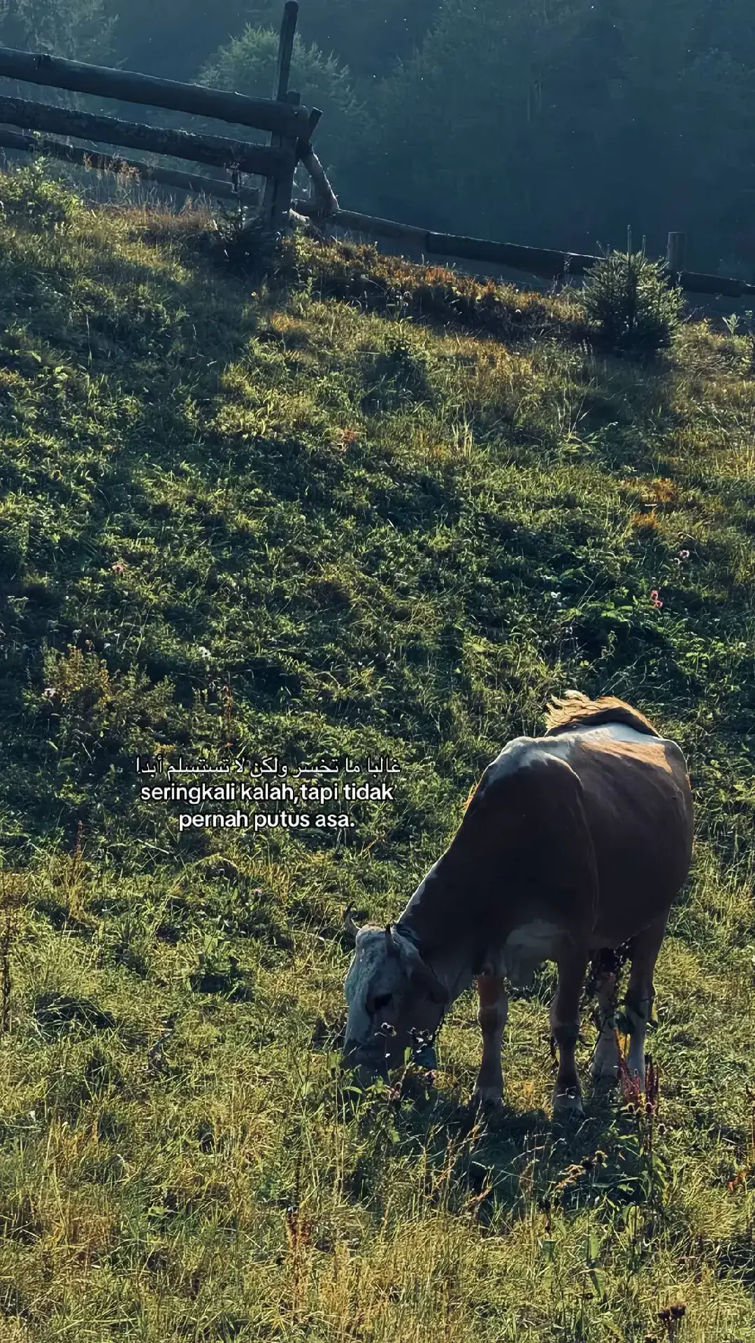 𝐲𝐚𝐧𝐠 𝐤𝐚𝐦𝐮 𝐚𝐧𝐠𝐠𝐚𝐩 𝐭𝐞𝐫𝐭𝐮𝐧𝐝𝐚, 𝐛𝐢𝐬𝐚 𝐣𝐚𝐝𝐢 𝐬𝐞𝐝𝐚𝐧𝐠 𝐀𝐥𝐥𝐚𝐡 𝐭𝐚𝐭𝐚 𝐝𝐞𝐧𝐠𝐚𝐧 𝐬𝐞𝐦𝐩𝐮𝐫𝐧𝐚.