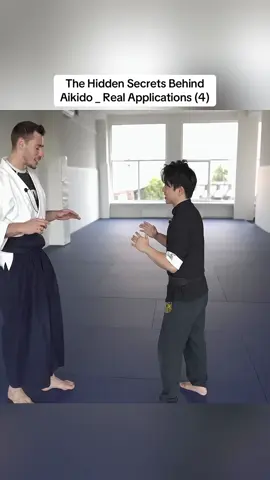 The Hidden Secrets Behind Aikido _ Real Applications (4)#Wingchun #Muaythai #Karate 