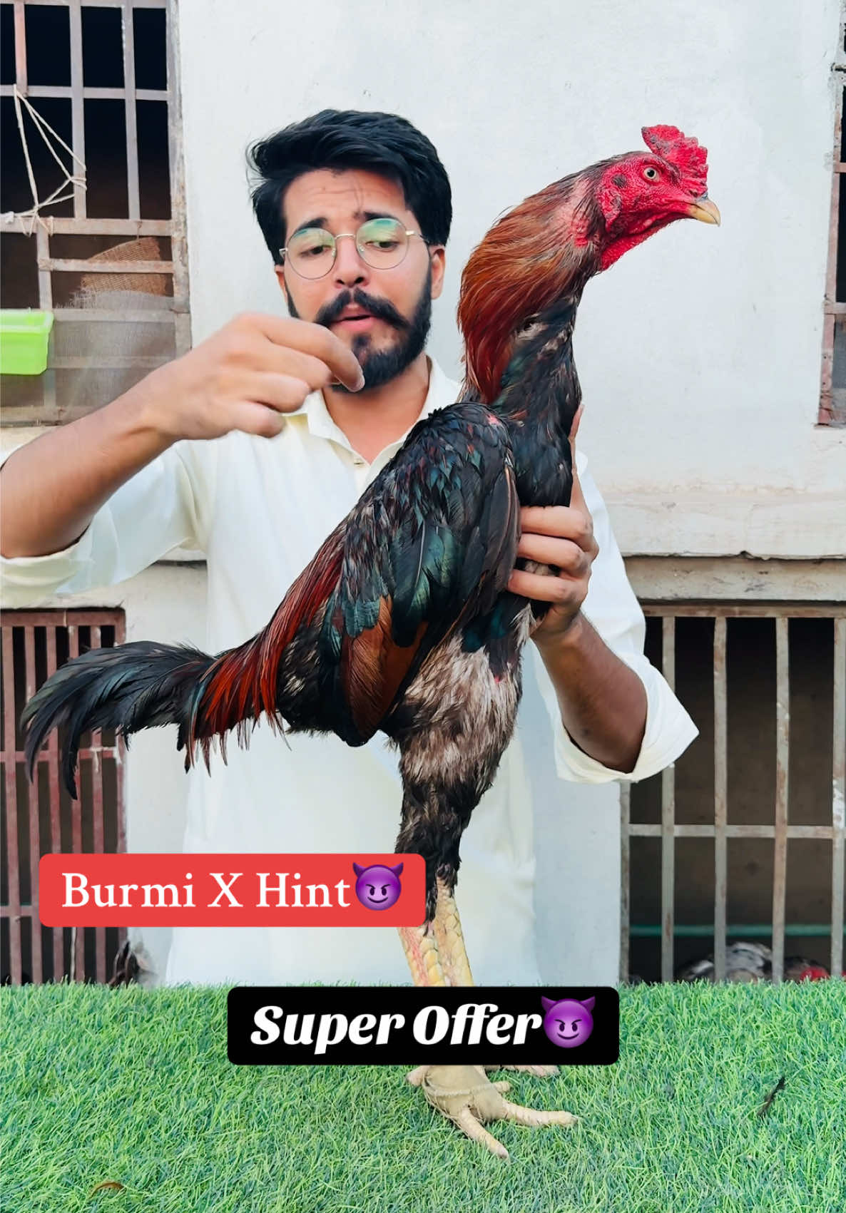 Aa jao jaldi Say😈❤️‍🔥🥰#onthisday #Black #dragon #Black #Skin @Butt Aseel Shook @userwi6ta4evmq @Nawaz khan @03466 haider 746977 aseel club @Baber Khan Niazi 618 