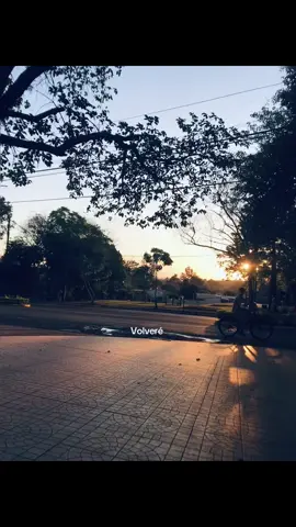 Volveré #segundosplatosmorat #morat #paratii 