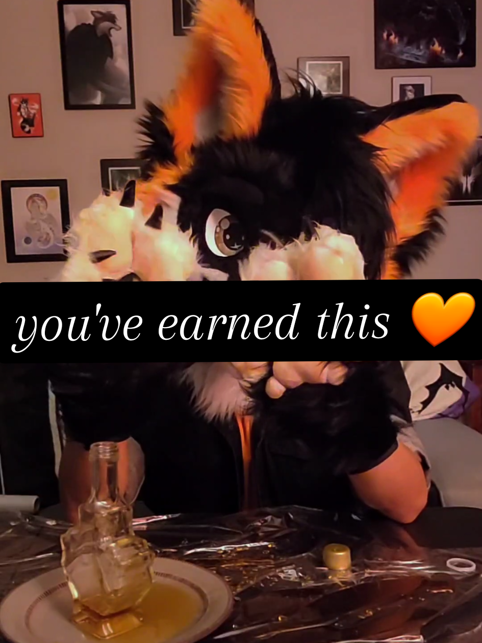 You've earned it~ 🧡🐾 🧡🐾🧡🐾🧡 - - - - #furry #fursuiter #furrytiktok #cringe #fyp 