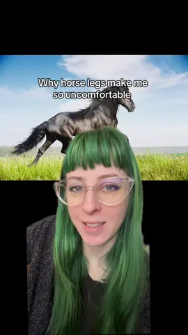 Why can’t horses heal from a broken leg like we can? It’s cuz their anatomy is all jacked up. Torment your friends and family with this animal fun fact!  #horse #horses #funfact #funfacts #AnimalFacts  Horse anatomy is really weird. They don’t even have muscles in their lower legs! 