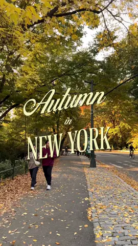 🚨🔊 start spreading the news!! there’s only ONE MORE WEEK until autumn in new york begins!! are you coming!? 🚕🎃🍁🌇📚☕️🍂✨ shot on iphone 4k at 30fps autumn in new york ethan barber, life in manhattan #ethanbarberco #newyorkcity #autumn #autumninnewyork #upperwestside                  