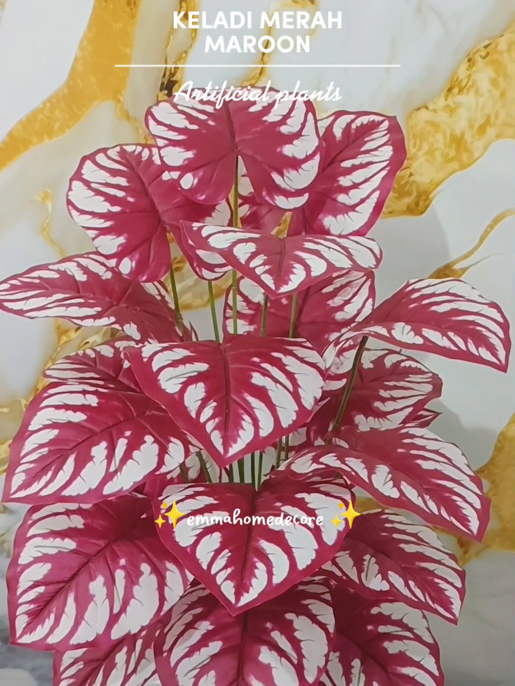 Keladi maroon ukuran 1 meter#ModalKontenDoang #tanamanartificial 