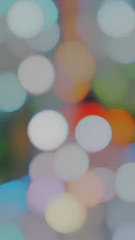 #mijan  কিউট জামাই জন্য একটা রাশিয়ান বউ লাগবে@Asiqur’s Lifestyle💫  @꧁🥂𝐂𝐮𝐭𝐞_𝐉𝐚𝐦𝐚𝐢🥂꧂  @丂 ㄖ 卄 卂 ᘜ 