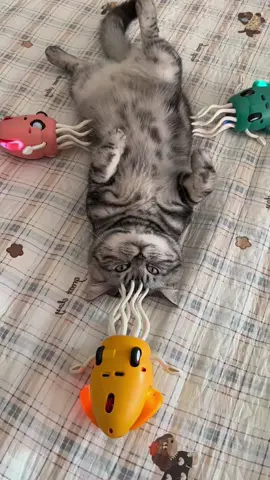 **🐙🤖 The Most Playful Octopus on Earth is Here!**  **”Watch This *Wiggly Wonder* Auto-Dance Around Your Home!”**  Meet the **Smart-Tentacle Explorer**—a *self-navigating* robotic toy that brings endless giggles to kids and *curiosity* to cats!  👉 **SWIPE** to see its magic moves:  ✅ **Obstacle Avoidance** – Smart sensors prevent crashes and falls  ✅ **Crazy 8-Leg Action** – Silly, unpredictable crawling patterns  ✅ **Super Affordable** – Less than a coffee for *hours* of entertainment  ✅ **Kid & Pet Safe** – Rounded edges and gentle movements  💬 **Tag a parent or comment:**  1️⃣ **”My toddler would *squeal* over this!”**  2️⃣ **”Finally—a toy that *actually* survives my cat’s attacks!”**  3️⃣ **Drop a 🐙 to claim yours!**  #MustHaveToy #KidsAndPets #InteractiveFun  **🛒 [LINK IN BIO]**  *(Warning: May cause *extreme* family laughter!)* 😂🎉  —  **P.S.** Perfect for *birthday goodie bags*! 🎁✨