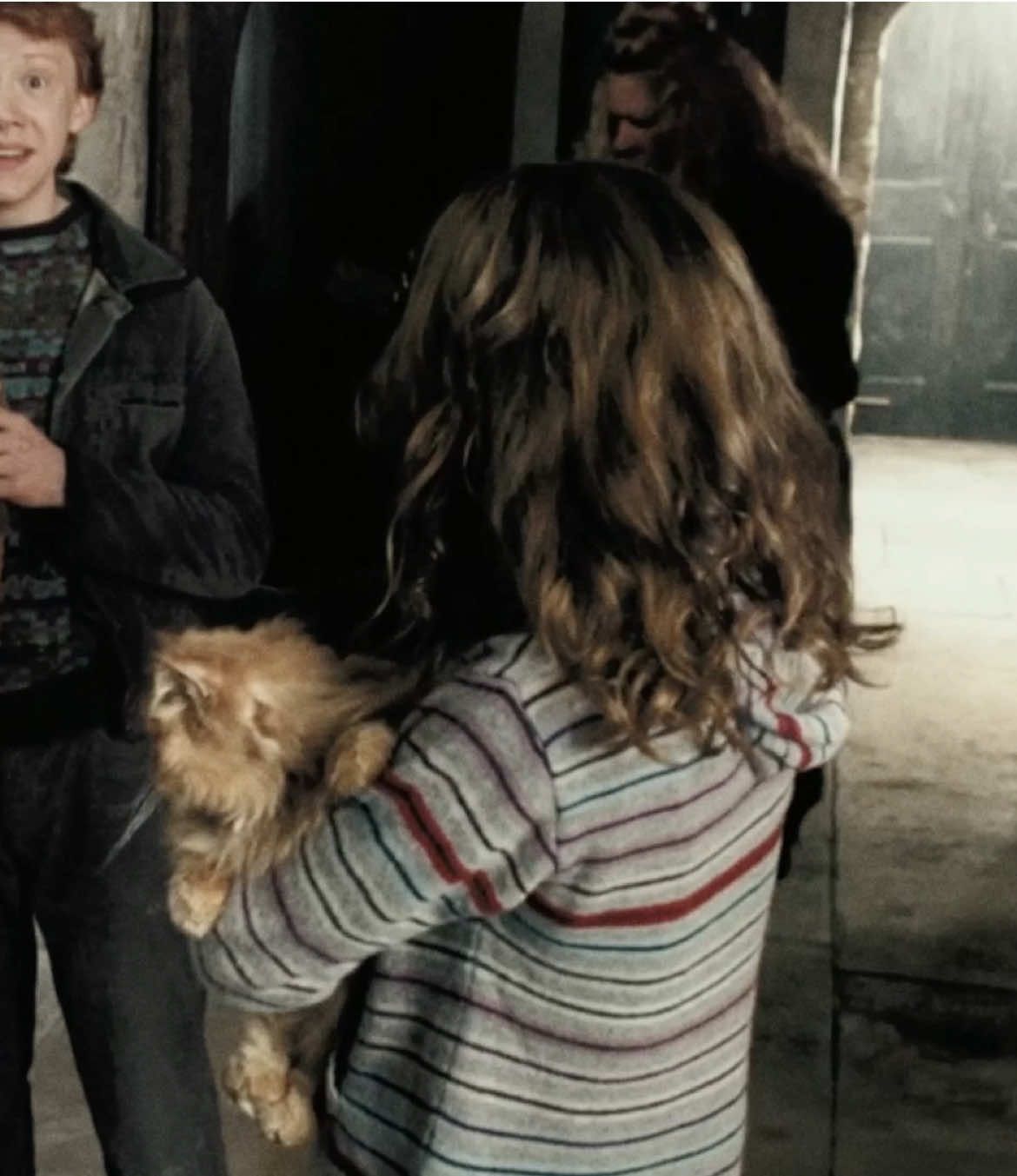 the brightest witch of her age ⟡ ݁. #harrypotter #harrypotteredit #hermionegranger #aestheticedits #moodboard 