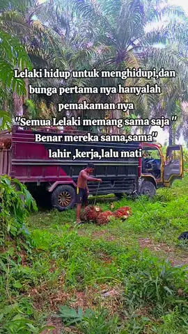 lahir  ,kerja ,lalu ,mati. itulah laki laki #fyp #sawitontiktok #sawitbalap #sawit #fyppppppppppppppppppppppp #