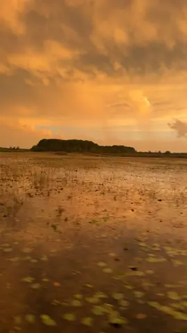 🧡💛🤍 #makeheavencrowded #FloridaMarsh #Airboat #FloridaSunset #PowerOfPrayer 