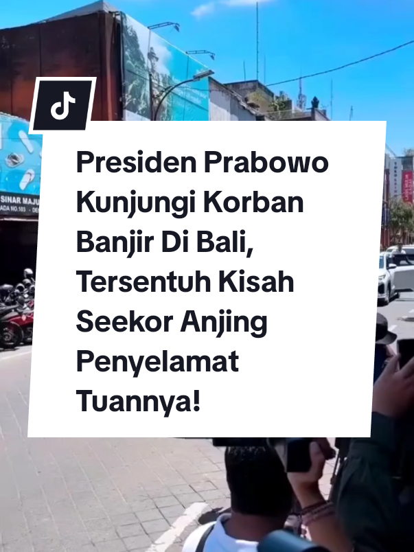 Presiden RI Prabowo Subianto menyempatkan diri meninjau warga terdampak banjir bandang di Denpasar, Bali, Sabtu (13/9/2025). Dalam kunjungan tersebut, terselip momen haru ketika ia bertemu seorang warga yang selamat berkat kesetiaan anjing peliharaannya. Dalam video yang beredar di media sosial, warga itu menceritakan bagaimana anjing berwarna cokelat miliknya menyelamatkan nyawa pada dini hari. Sekitar pukul 04.00 WITA, anjing tersebut menggonggong keras hingga membangunkan sang pemilik tepat sebelum banjir besar menghanyutkan rumah mereka. Mendengar kisah itu, Prabowo tampak tersentuh dan berkata kepada sang anjing, “Kamu pahlawan ya, selamatkan tuanmu.” Selain menyapa pemilik anjing tersebut, Prabowo juga berkeliling menyambangi warga lain yang terdampak banjir. Dengan setelan safari khasnya, ia berjalan menyusuri gang kecil, duduk bersama warga, serta mendengarkan langsung keluh kesah mereka. Prabowo turut mencermati kerusakan akibat banjir yang terjadi pada Rabu (10/9/2025) lalu, sekaligus memberikan semangat kepada warga. Ia meyakinkan bahwa pemerintah akan segera hadir memberikan bantuan. #hariharijakarta #jktinfo #infojakarta #jakarta #jakartatimur 