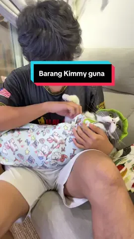 #kainbalutkucing #bedungkucing #barangkucing #kucing 