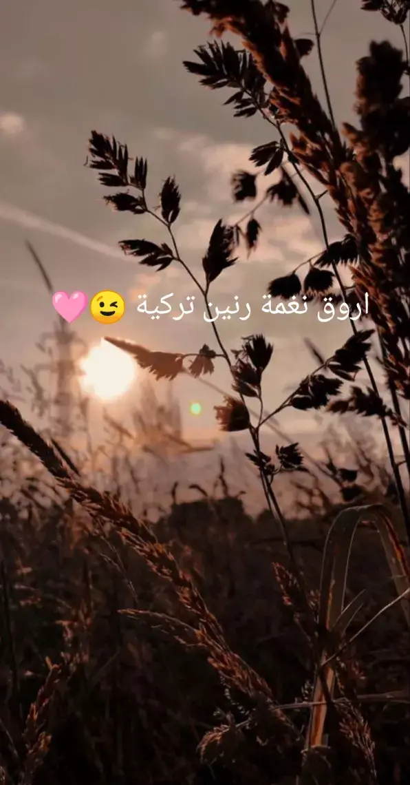 #نغمة #موسيقى #fyp 