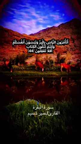 أتأمرون الناس بالبر وتنسون أنفسكم. #سورة البقرة#القارئ عمير شميم#صدقة_جارية #🌿ورتل_القران🌿 