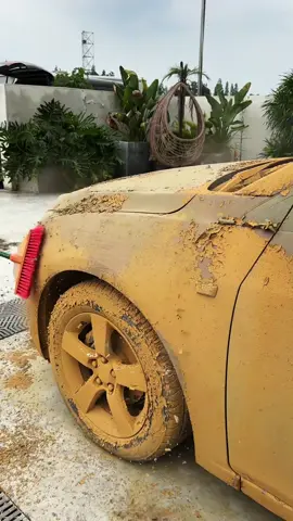 #carwashing #carwash #carcleaning #washing #detailing 