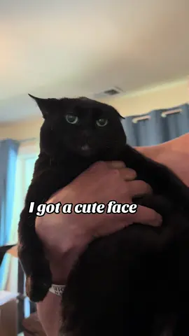 #blackcat #blackcats #fyp #void #voidcat 