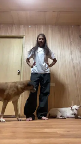 check my other vids, the other dog has an entry 😆 #nalastomp #nalastomps #dogsoftiktok #dogdance 