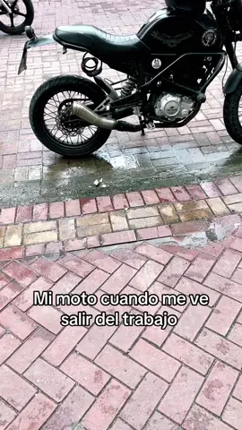 Vámos vámonos chucha jajajaaj