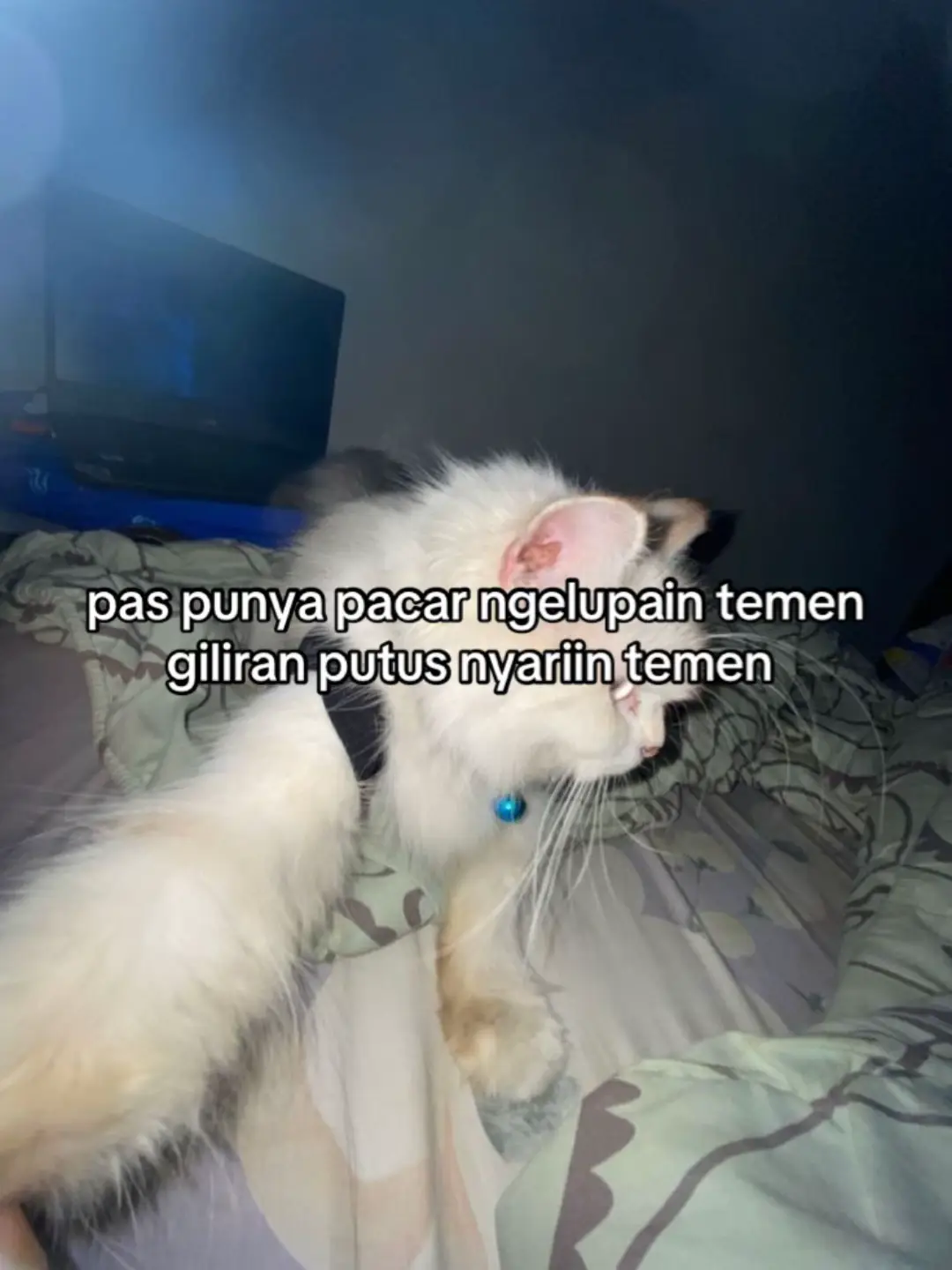 ra nyambung blas #fyp #foryoupage #xybca 