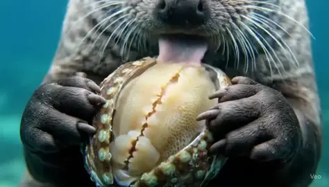 No sé hagan.... todos lo pensamos..🥴😏🤣