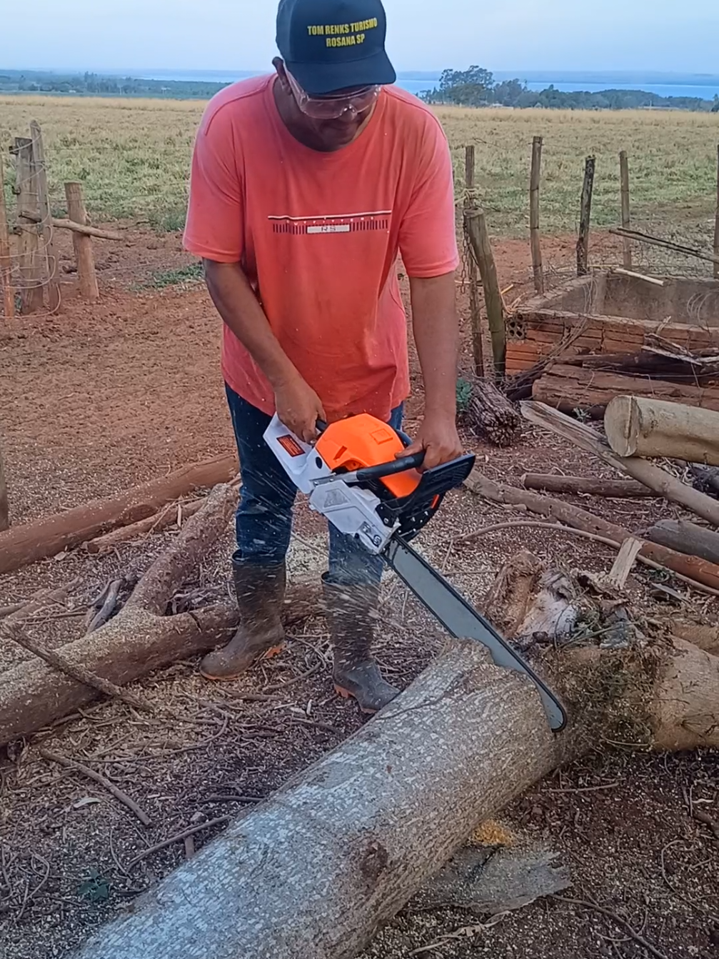 Motosserra importada, ótimo custo benefício! #motosserra #sitio #arvore #lenha #trabalho 