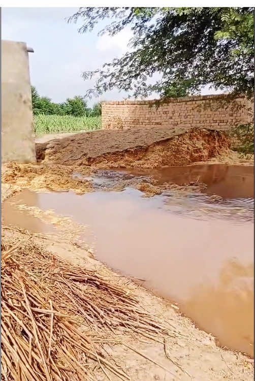 #flood#flashflood#naturedisaster#scarymoments#badweather @Nature  @Nature  @Nature @oceanlife-fishing @YunPu 