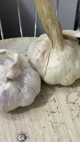 #العراق 