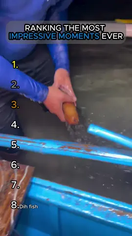 RANKING THE MOST IMPRESSIVE MOMENTS EVER #fyp #impressive #impressivemoments #viral #foryoupage
