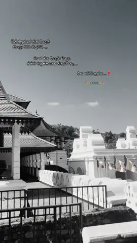මිනිස්සුන්ගේ හිත් රිදෙයි  කියලා මම හිතුවට....❣️ #sinhalawadan #voice #viral #trending #fyp 