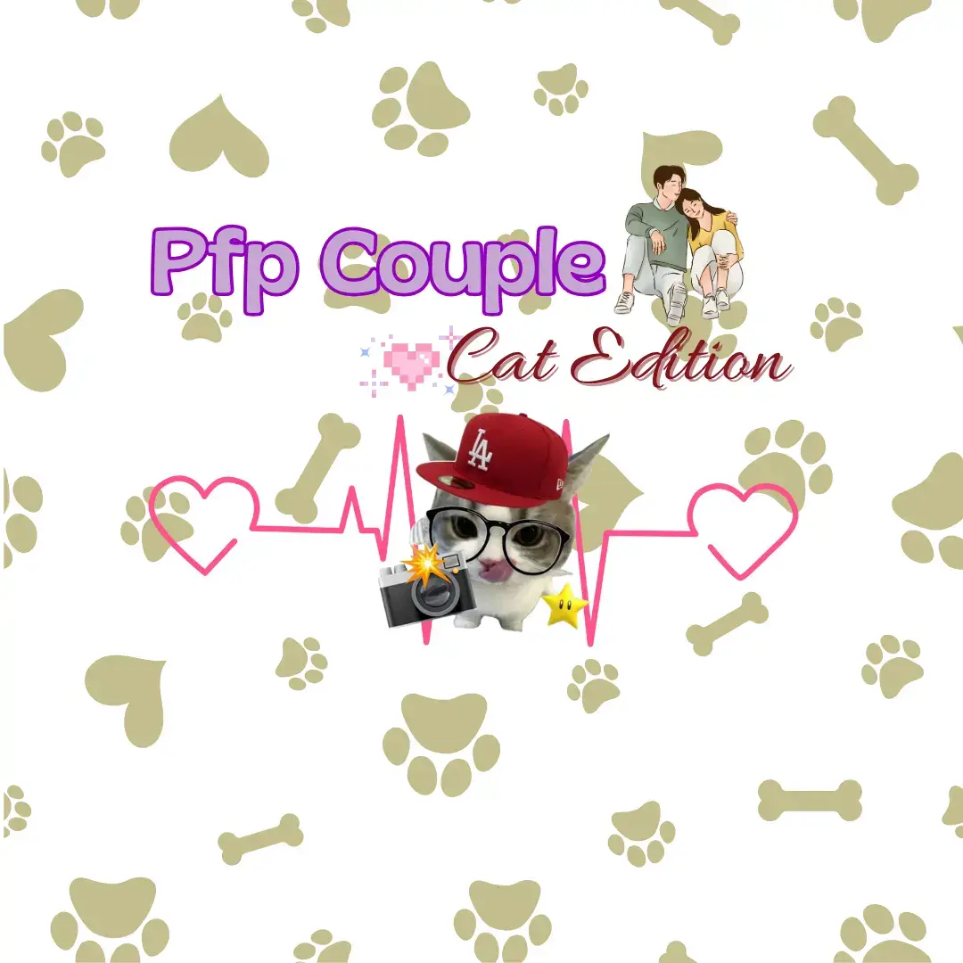 for those of you who like cats🫧 #cat #pfp #couple #fypppppppppppppppppppppppppppppppppppppppppppppppppppp #xybca 